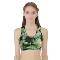 Green Leaves Nature Pattern Plant Sports Bra With Border by Amaryn4rt