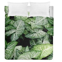 Green Leaves Nature Pattern Plant Duvet Cover Double Side (queen Size)