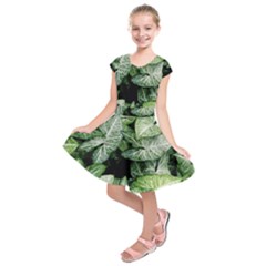 Green Leaves Nature Pattern Plant Kids  Short Sleeve Dress