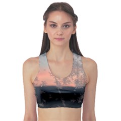 Hardest Frost Winter Cold Frozen Sports Bra by Amaryn4rt