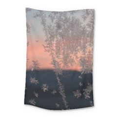 Hardest Frost Winter Cold Frozen Small Tapestry by Amaryn4rt