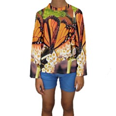 Monarch Butterfly Nature Orange Kids  Long Sleeve Swimwear by Amaryn4rt