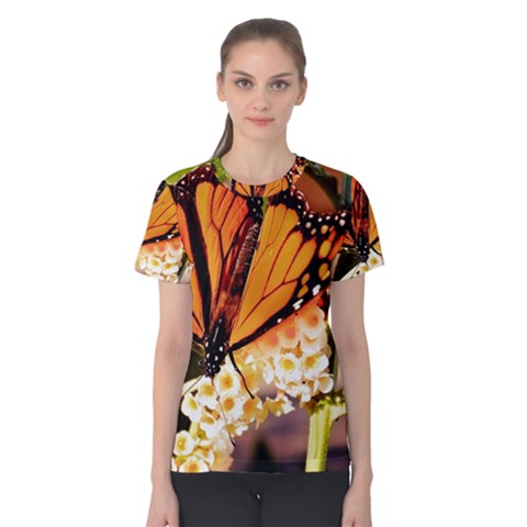 Monarch Butterfly Nature Orange Women s Cotton Tee by Amaryn4rt