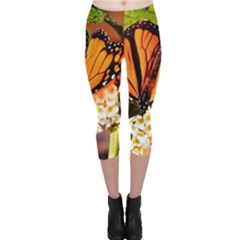 Monarch Butterfly Nature Orange Capri Leggings  by Amaryn4rt