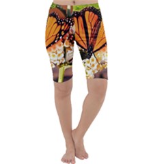 Monarch Butterfly Nature Orange Cropped Leggings  by Amaryn4rt