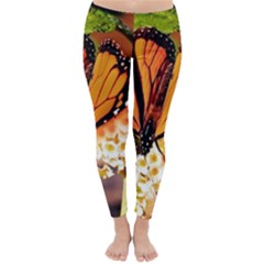 Monarch Butterfly Nature Orange Classic Winter Leggings by Amaryn4rt