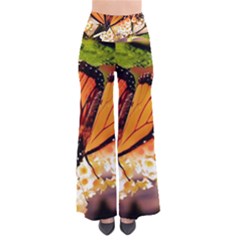 Monarch Butterfly Nature Orange Pants by Amaryn4rt