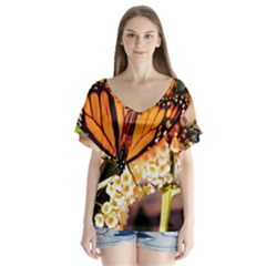 Monarch Butterfly Nature Orange Flutter Sleeve Top