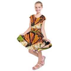 Monarch Butterfly Nature Orange Kids  Short Sleeve Dress