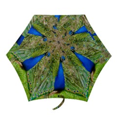 Peacock Animal Photography Beautiful Mini Folding Umbrellas by Amaryn4rt