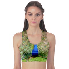 Peacock Animal Photography Beautiful Sports Bra by Amaryn4rt