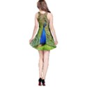 Peacock Animal Photography Beautiful Reversible Sleeveless Dress View2