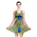 Peacock Animal Photography Beautiful Reversible Skater Dress View1