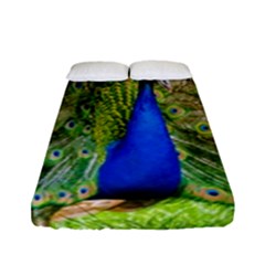 Peacock Animal Photography Beautiful Fitted Sheet (full/ Double Size)