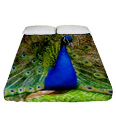 Peacock Animal Photography Beautiful Fitted Sheet (queen Size)