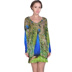 Peacock Animal Photography Beautiful Long Sleeve Nightdress by Amaryn4rt