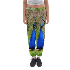 Peacock Animal Photography Beautiful Women s Jogger Sweatpants by Amaryn4rt