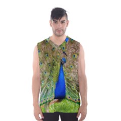 Peacock Animal Photography Beautiful Men s Basketball Tank Top by Amaryn4rt