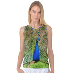 Peacock Animal Photography Beautiful Women s Basketball Tank Top by Amaryn4rt