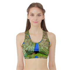 Peacock Animal Photography Beautiful Sports Bra With Border by Amaryn4rt