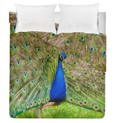 Peacock Animal Photography Beautiful Duvet Cover Double Side (queen Size)