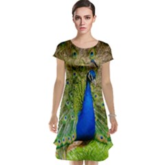 Peacock Animal Photography Beautiful Cap Sleeve Nightdress by Amaryn4rt