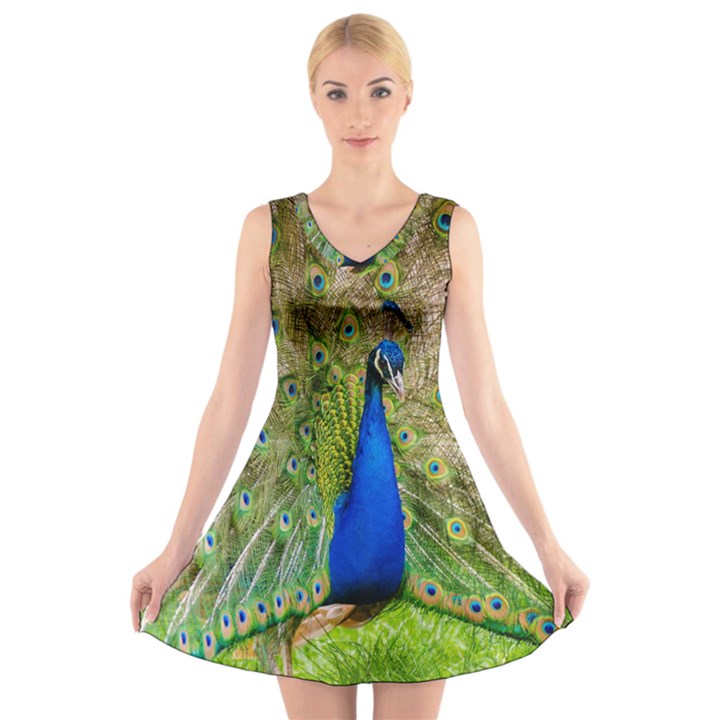 Peacock Animal Photography Beautiful V-Neck Sleeveless Skater Dress