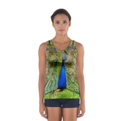 Peacock Animal Photography Beautiful Women s Sport Tank Top  by Amaryn4rt