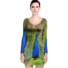 Peacock Animal Photography Beautiful Long Sleeve Velvet Bodycon Dress by Amaryn4rt