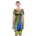 Peacock Animal Photography Beautiful Classic Short Sleeve Midi Dress View1