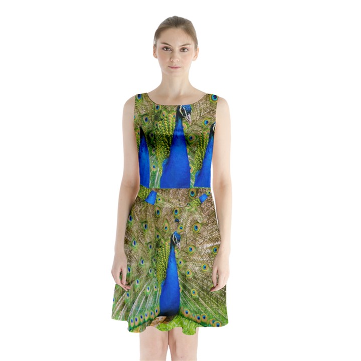 Peacock Animal Photography Beautiful Sleeveless Chiffon Waist Tie Dress