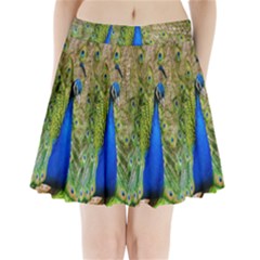 Peacock Animal Photography Beautiful Pleated Mini Skirt by Amaryn4rt