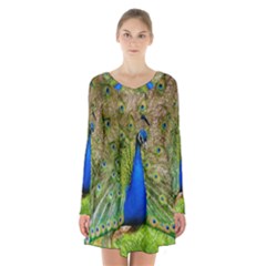 Peacock Animal Photography Beautiful Long Sleeve Velvet V-neck Dress by Amaryn4rt