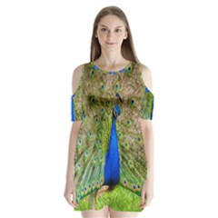 Peacock Animal Photography Beautiful Shoulder Cutout Velvet  One Piece by Amaryn4rt