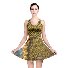 Sunflower Bright Close Up Color Disk Florets Reversible Skater Dress by Amaryn4rt