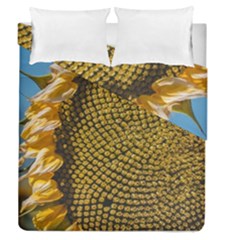 Sunflower Bright Close Up Color Disk Florets Duvet Cover Double Side (queen Size)