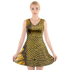 Sunflower Bright Close Up Color Disk Florets V-neck Sleeveless Skater Dress by Amaryn4rt