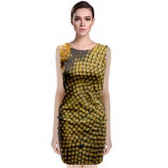 Sunflower Bright Close Up Color Disk Florets Classic Sleeveless Midi Dress by Amaryn4rt