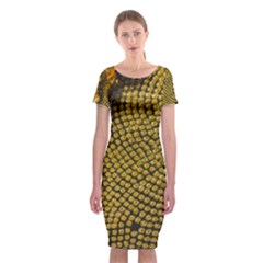 Sunflower Bright Close Up Color Disk Florets Classic Short Sleeve Midi Dress by Amaryn4rt