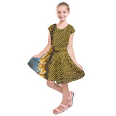 Sunflower Bright Close Up Color Disk Florets Kids  Short Sleeve Dress by Amaryn4rt