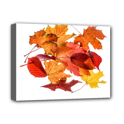 Autumn Leaves Leaf Transparent Deluxe Canvas 16  X 12   by Amaryn4rt