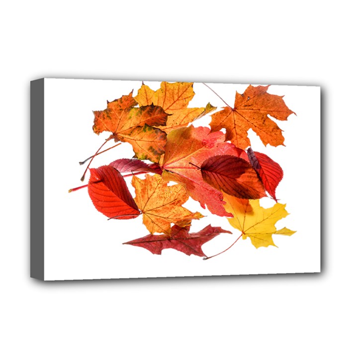 Autumn Leaves Leaf Transparent Deluxe Canvas 18  x 12  