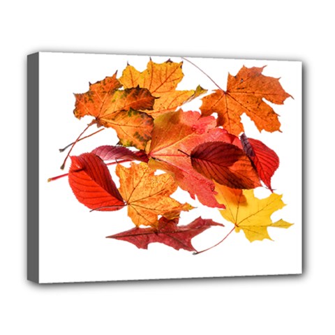 Autumn Leaves Leaf Transparent Deluxe Canvas 20  X 16   by Amaryn4rt