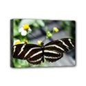 Butterfly #22 Mini Canvas 7  x 5  View1