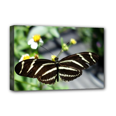 Butterfly #22 Deluxe Canvas 18  X 12   by litimages