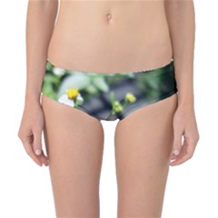 Butterfly #22 Classic Bikini Bottoms