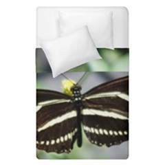 Butterfly #22 Duvet Cover Double Side (single Size) by litimages