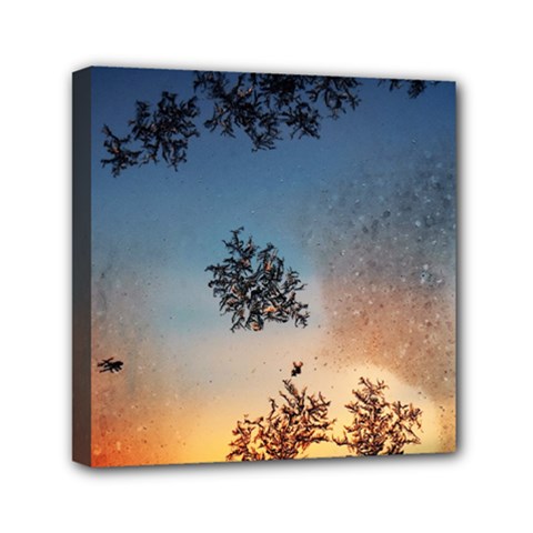 Hardest Frost Winter Cold Frozen Mini Canvas 6  X 6  by Amaryn4rt