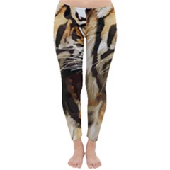 Royal Tiger National Park Classic Winter Leggings by Amaryn4rt