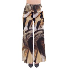 Royal Tiger National Park Pants by Amaryn4rt